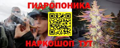 прущие грибы Ивантеевка
