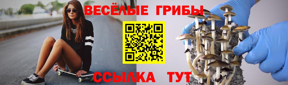 Ачинск  Псилоцибиновые грибы Cubensis  Вход с VPN  Псилоцибиновые грибы мухоморы 